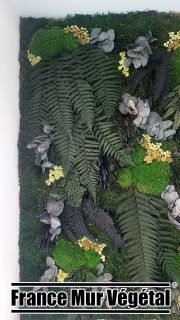 Création d'un mur végétal stabilisé pour l'Agence Barth Immobilier située à Janzé (35).
Plus d'infos sur https://francemurvegetal.fr
ou sur https://mur-vegetal-en-yvelines.fr
Mur végétal stabilisé d’intérieur composé de plantes naturelles préservées ne nécessitant pas d’arrosage ni de lumière. La solution idéale pour végétaliser un mur intérieur sans avoir à se soucier de l’entretien ! Les végétaux stabilisés sont 100% naturels. La stabilisation végétale est un procédé unique totalement écologique consistant à remplacer la sève naturelle par un produit de conservation. Grâce à cette technique de préservation naturelle, nos plantes conservent leur souplesse et leur fraicheur naturelle sans besoin en eau ou en lumière pendant une très longue période. Elles ne nécessitent aucun arrosage, aucune luminosité ou traitement particulier. Elles sont non allergènes, ne dégagent pas de CO² et participent à l’isolation acoustique d’une pièce.
#francemurvegetal #murvegetalenyvelines #murvegetal #murvégétalisé #decorationvegetale #decovegetale #decoration #deco #decomurale #mur #murvegetalstabilise #plantes #décovégétale #décorationvégétale #décoration #murvégétal #posemurvegetal #artisanduvegetal #decobureaux #decorationnaturelle #murstabilise #stabilisé #decorateur #decorateur #plantesstabilisées #décorateurvégétal #creationmurvegetal #decomur