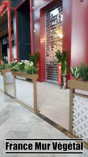 Décoration végétale pour le restaurant Katori situé dans le centre commercial Westfield Vélizy 2 (78). Décoration végétale composée de plusieurs jardinières et d'un mur végétal artificiel.
Plus d'infos sur :
www.mur-vegetal-en-yvelines.fr
www.francemurvegetal.fr
#francemurvegetal #francemurvégétal #murvegetal #murvégétal #décorationvégétale #décovégétale #decorationvegetale #décovegetale #deco #déco #décoration #decorateur #décorateur #decorestaurant #plantes #paysagismeinterieur #paysagisteinterieur #decorvegetal #decorationrestaurant